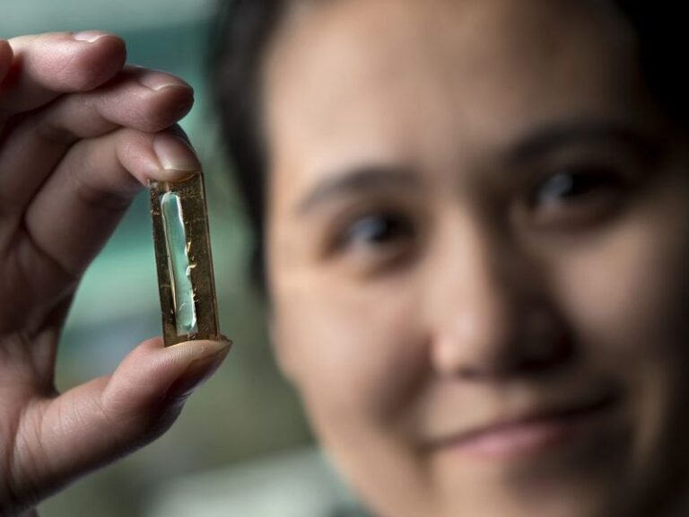 El futuro de las baterías podría estar en los nanocables de oro