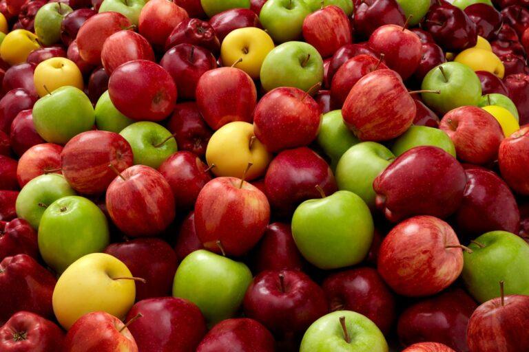 Biogás producido con bagazo de manzana puede minimizar el uso de combustibles fósiles en la industria
