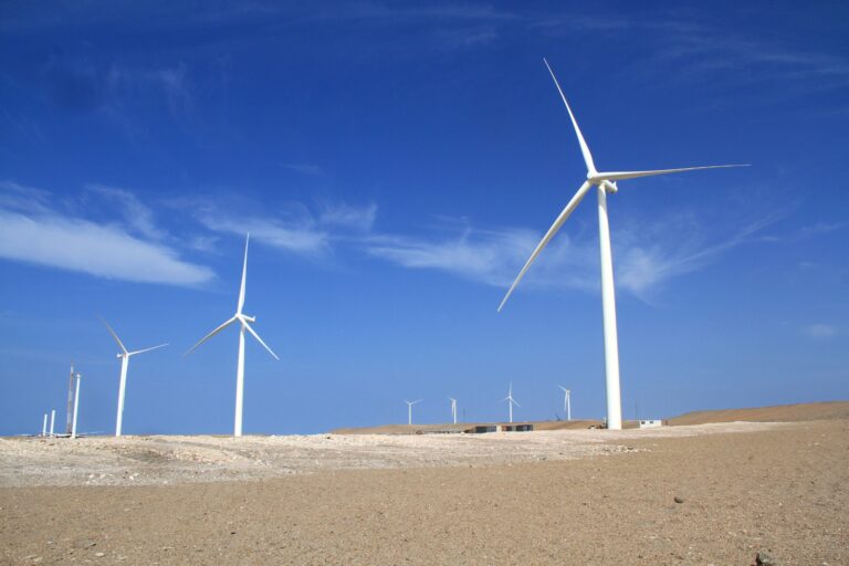 “Se requiere de hidrógeno verde para desarrollar energías limpias”, explicó el MINEM