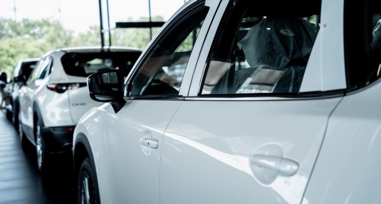 Inestabilidad y desempeño de la economia se refleja en venta de vehículos nuevos