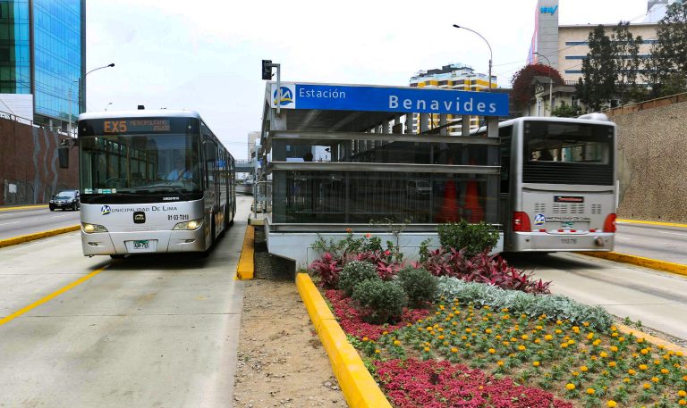 Arrancan los trabajos para mejorar las áreas verdes de la vía exclusiva del Metropolitano