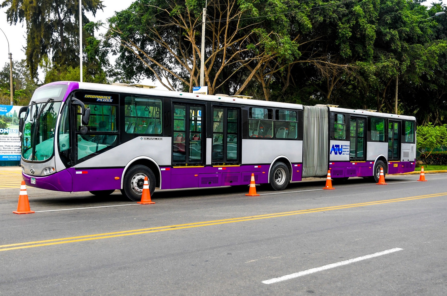 Corredor Morado presenta su primer bus articulado con capacidad para
