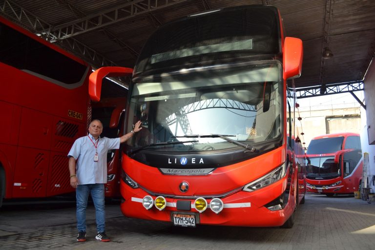Con flota renovada y segura, Transportes Línea reafirma su compromiso sostenible