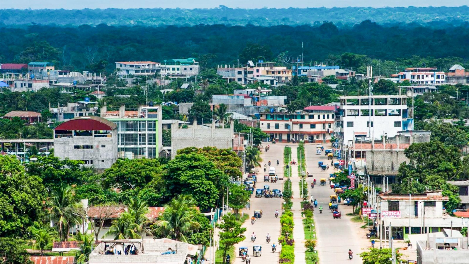 Más seguro y ordenado: Tambopata se propone modernizar su transporte